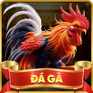 Hoàn trả hàng ngày