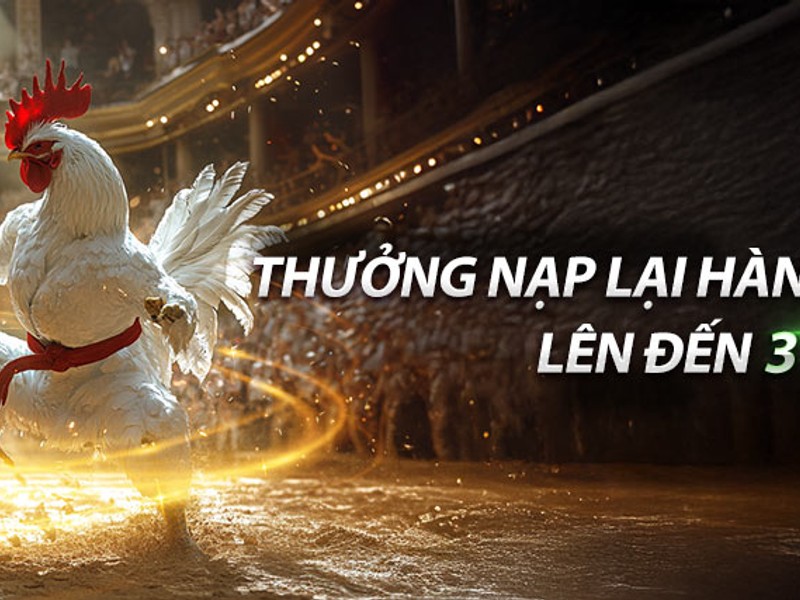 Biểu tượng trò chơi PUBG (PlayerUnknown's Battlegrounds).